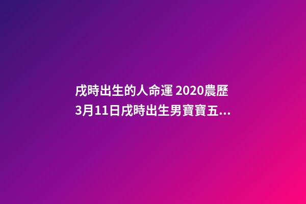 戌時出生的人命運 2020農歷3月11日戌時出生男寶寶五行八字是什么，八字還缺什么？（起名字作為參考）-第1張-觀點-玄機派
